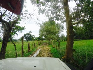 This was the 'road' that Peter spotted from Google Earth, that he was hopeful would take us right down to the beach.  didn't quite work out. 