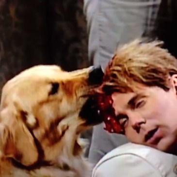 DCC2C75139990542218127458304_1c91a86ca2d.3.2.mp4_h.iLWmtmxARqKVRdC5af5cBp5zXzINs9TXAYCYlGRX.XD.2ZX1w9L0OSnQgfYaj0